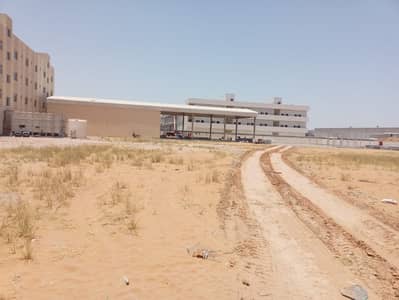 Industrial Land for Rent in Umm Al Thuoob, Umm Al Quwain - WhatsApp Image 2026-09-02 at 11.47. 47 AM (1). jpeg Industrial Land for Rent in Umm Al Thuoob, Umm Al Quwain - WhatsApp Image 2026-09-02 at 11.47. 47 AM (1). jpeg