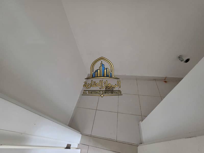 17 20260816_162250. jpg