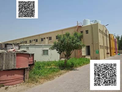 Labour Camp for Sale in Al Jurf, Ajman - 1000138786. jpg Labour Camp for Sale in Al Jurf, Ajman - 1000138786. jpg