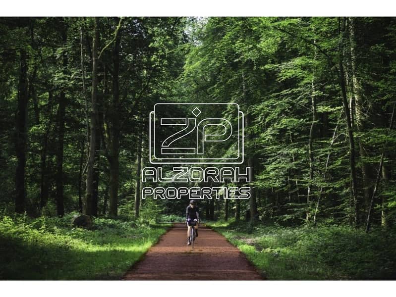 18 Untitled design (34). png