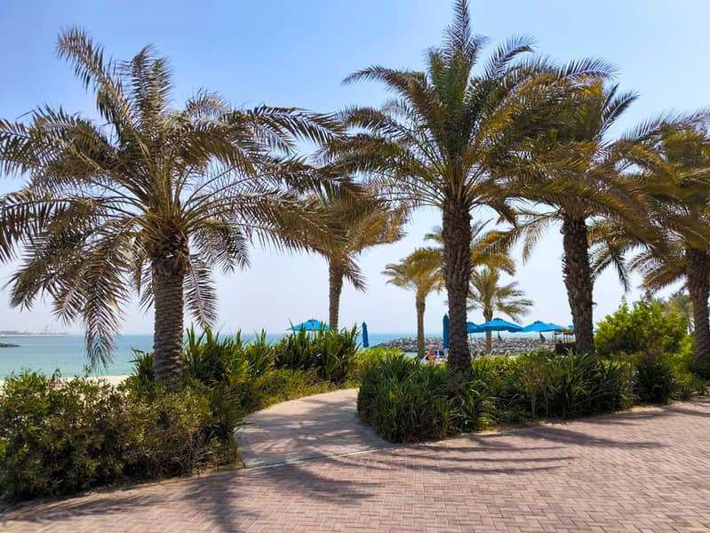 34 Beach pictures (5). jpg