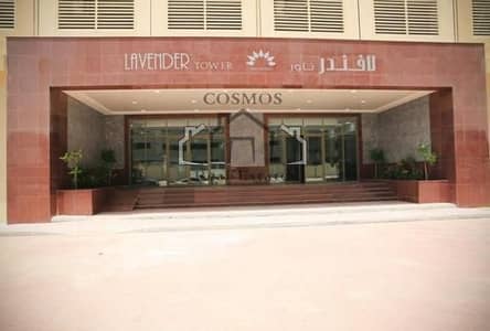 1 Camera Appartamento in affitto a Emirates City, Ajman - LEVENDER. jpeg
