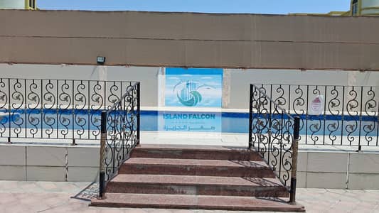 استوديو  للايجار في مدينة خليفة، أبوظبي - WhatsApp Image 2026-06-22 at 14.02. 55. jpeg
