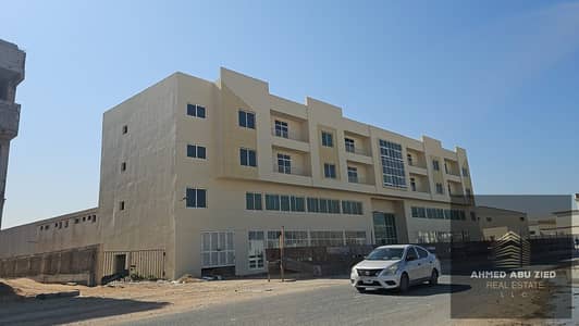 Other Commercial de à à louer à Umm Al Thuoob, Umm Al Quwain - WhatsApp Image 2026-09-02 at 4.34. 17 PM. jpeg Other Commercial de à à louer à Umm Al Thuoob, Umm Al Quwain - WhatsApp Image 2026-09-02 at 4.34. 17 PM. jpeg