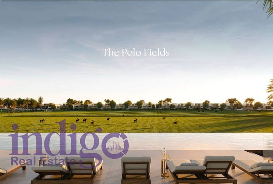 7 grandpolo 4. png