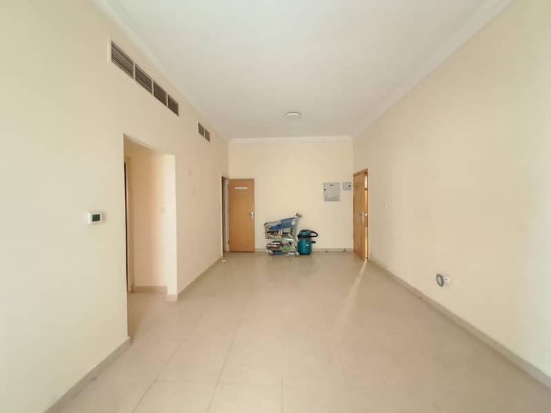 5 4169. jpg