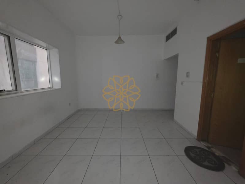 3 55908. jpg