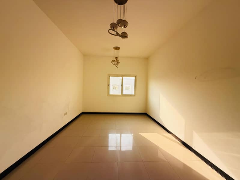 4 173070. jpg