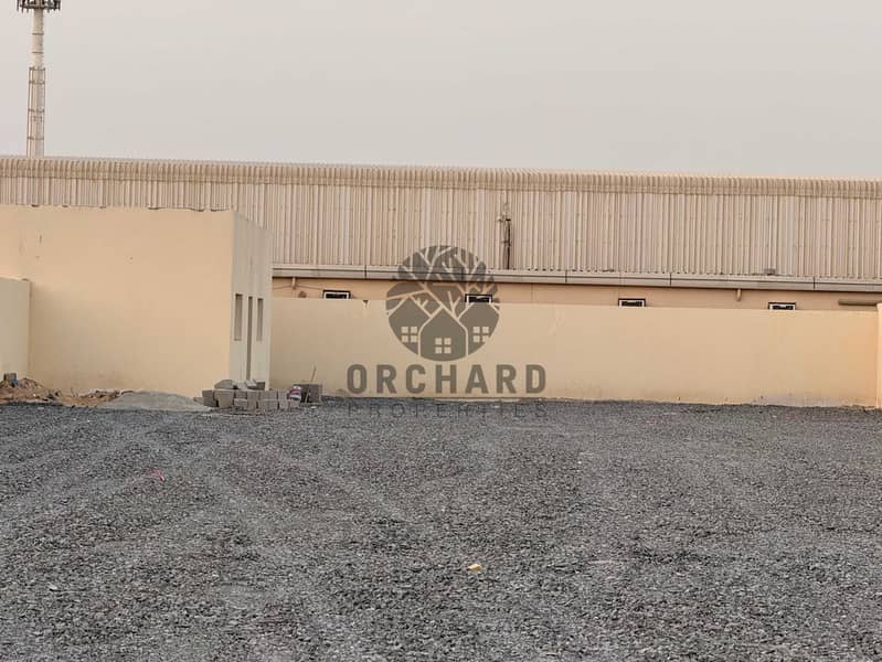 6 IMG_4105. jpg