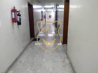 迪拉区， 迪拜 2 卧室公寓待租 - IMG20230703164010. jpg