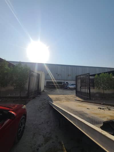 Warehouse for Rent in Al Jurf, Ajman - WhatsApp Image 2026-08-29 at 5.29. 28 PM (1). jpeg Warehouse for Rent in Al Jurf, Ajman - WhatsApp Image 2026-08-29 at 5.29. 28 PM (1). jpeg