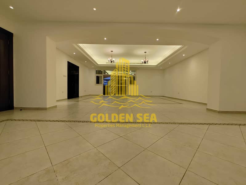 5 1000234956. jpg