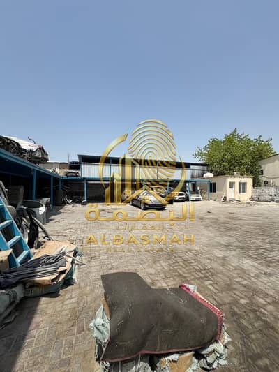معرض تجاري للايجار في المنطقة الصناعية، الشارقة - WhatsApp Image 2026-09-05 at 5.17. 34 PM (5). jpeg معرض تجاري للايجار في المنطقة الصناعية، الشارقة - WhatsApp Image 2026-09-05 at 5.17. 34 PM (5). jpeg