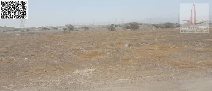 Plot in vendita a Al Manama, Ajman - WhatsApp Image 2026-08-31 at 9.58. 51 AM (1). jpeg