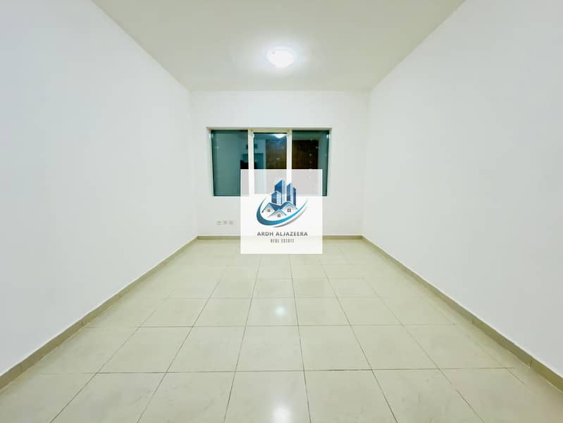 11 185. jpg