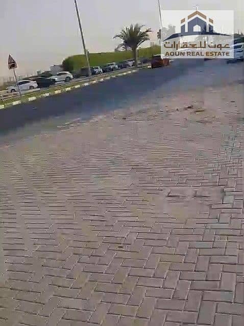 ع. jpeg ع. jpeg