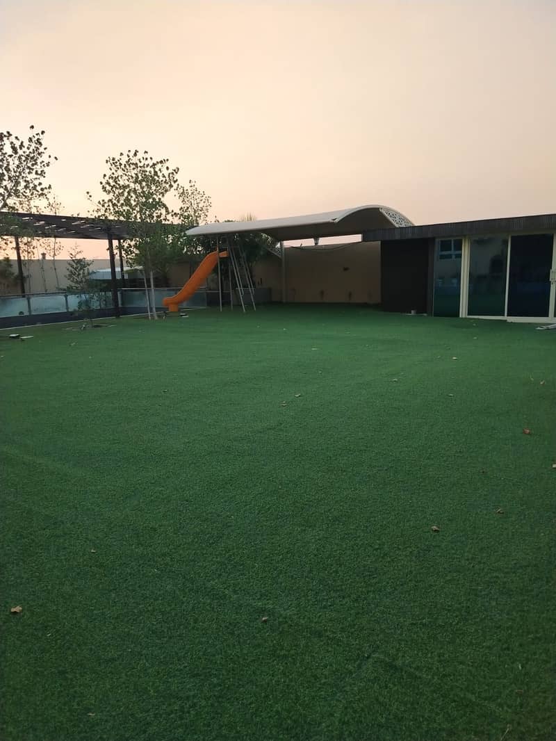 55 1000388230. jpg