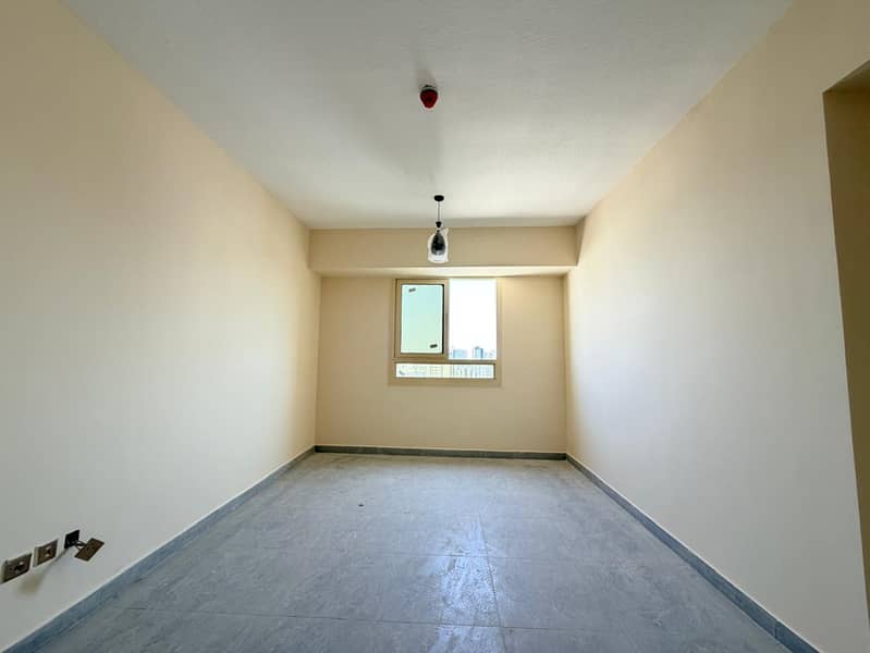 3 206858. jpg