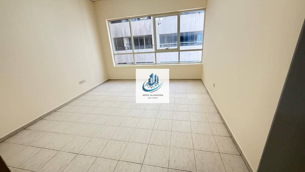 3 134479. jpg