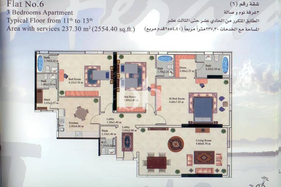 8 images image img