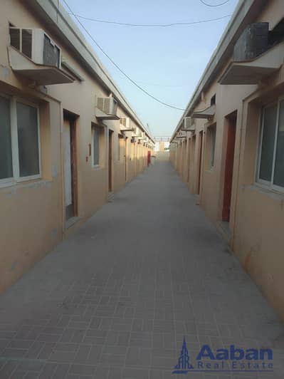 Labour Camp de à à louer à Al Sajaa Industrial, Sharjah - WhatsApp Image 2026-08-22 at 10.33. 58 AM (7). jpeg Labour Camp de à à louer à Al Sajaa Industrial, Sharjah - WhatsApp Image 2026-08-22 at 10.33. 58 AM (7). jpeg