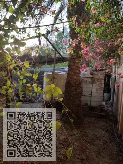 7 Camere Building in vendita a Musherief, Ajman - WhatsApp Image 2026-09-05 at 11.00. 07 AM (1). jpeg
