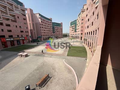 Studio for Rent in Discovery Gardens, Dubai - WhatsApp Image 2026-09-07 at 10.33. 09 AM. jpeg