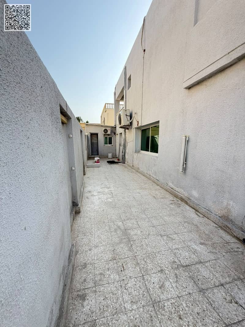 5 50081. jpg
