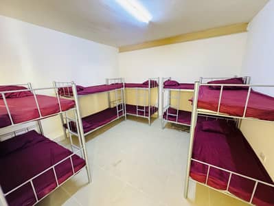Трудовой лагерь в аренду в Муссафа, Абу-Даби - IMG-20250524-WA0056. jpg