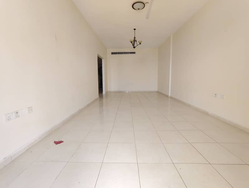 6 166951. jpg