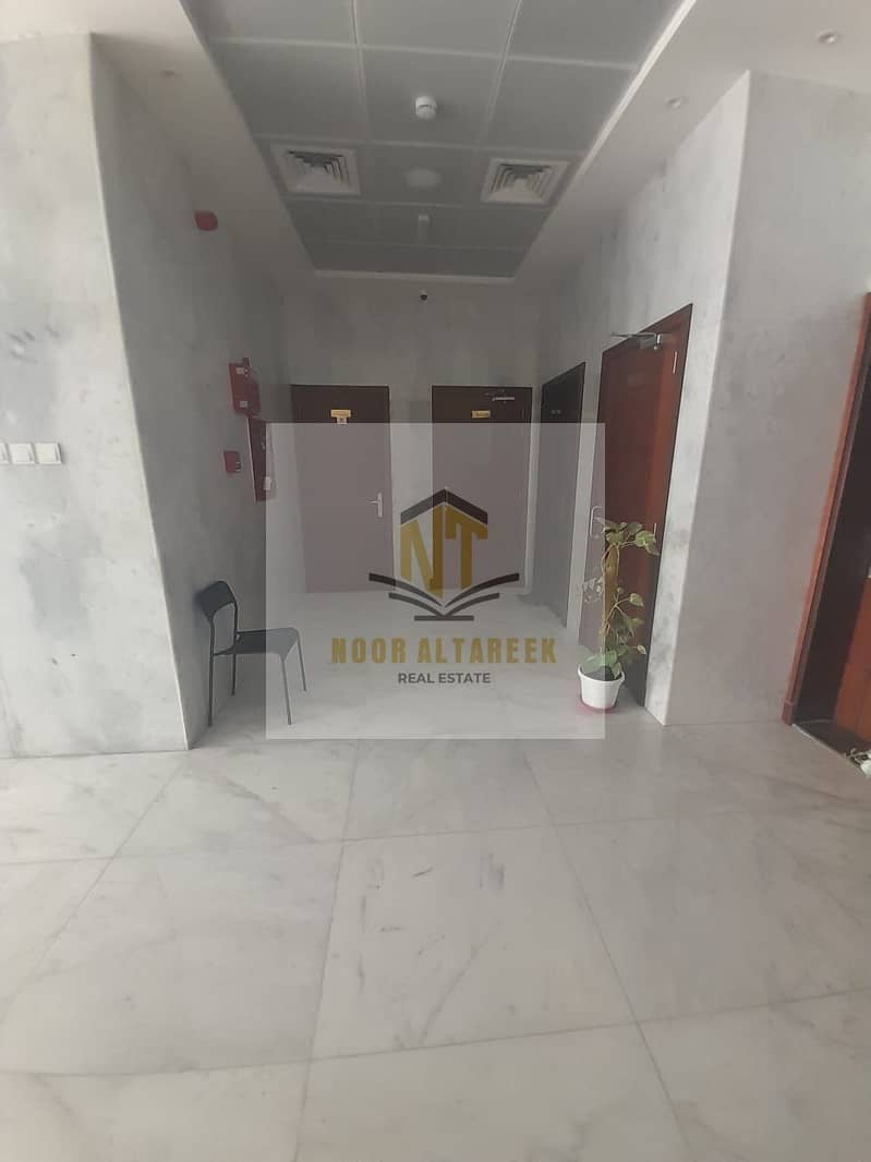 3 WhatsApp Image 2026-09-08 at 3.30. 54 PM (1). jpeg