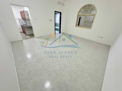 Studio for Rent in Al Mushrif, Abu Dhabi - IMG_4371. jpeg