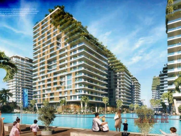 6 Image 7