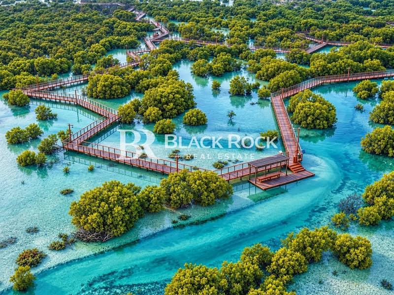 5 Jubail-Mangrove-Park-drone-. jpg
