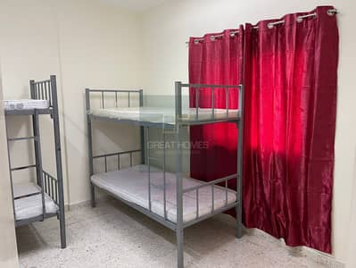 Labour Camp in affitto a Dubai Investments Park (DIP), Dubai - WhatsApp Image 2022-06-17 at 2.30. 02 PM (1). jpeg Labour Camp in affitto a Dubai Investments Park (DIP), Dubai - WhatsApp Image 2022-06-17 at 2.30. 02 PM (1). jpeg