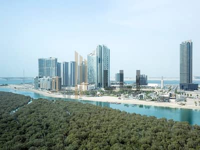 阿尔雷姆岛， 阿布扎比 单身公寓待租 - 位于阿尔雷姆岛，城市之光社区，C6大厦 的公寓 66000 AED - 16060447