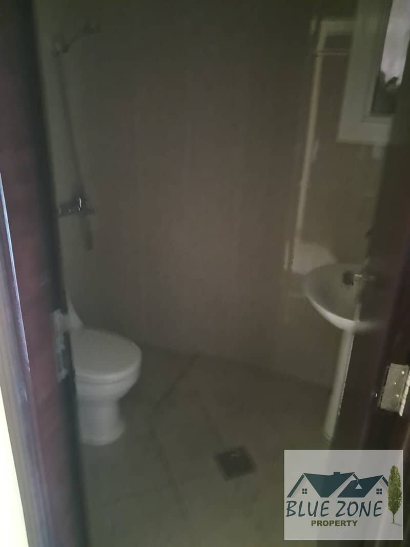 9 1000474025. jpg