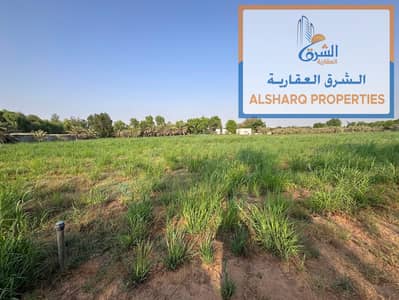 Mixed Use Land zum zur Miete in Al Zubair, Sharjah - WhatsApp Image 2026-08-13 at 18.15. 05 (1). jpeg