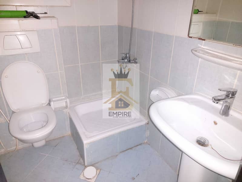 6 148204. jpg