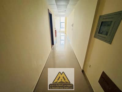 Студия Продажа в Аль Нуаимия, Аджман - WhatsApp Image 2026-09-12 at 11.07. 57. jpeg Студия Продажа в Аль Нуаимия, Аджман - WhatsApp Image 2026-09-12 at 11.07. 57. jpeg