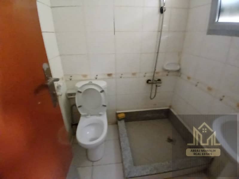 4 137107. jpg