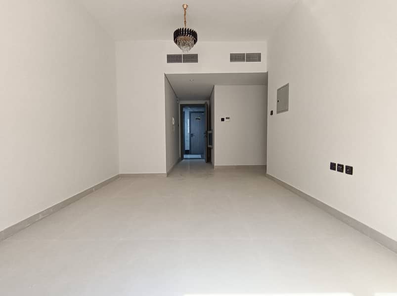 6 11259. jpg