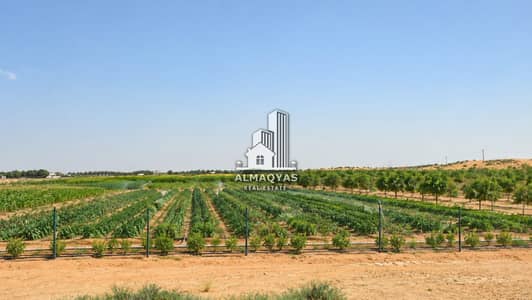 Mixed Use Land te Huur in Al Zubair, Sharjah - WhatsApp Image 2026-09-12 at 12.56. 41. jpeg Mixed Use Land te Huur in Al Zubair, Sharjah - WhatsApp Image 2026-09-12 at 12.56. 41. jpeg