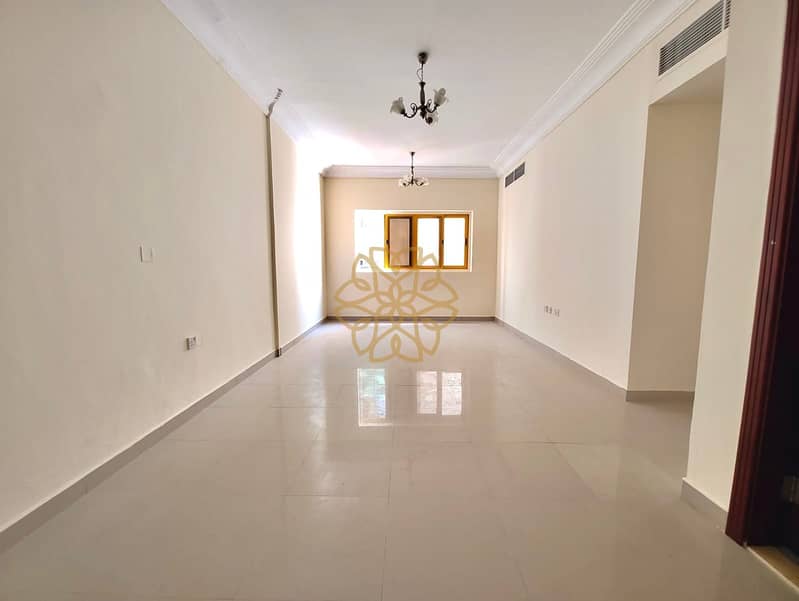 2 bd9a5020-eddb-4535-9e8a-56fe236ed0eb. jpg