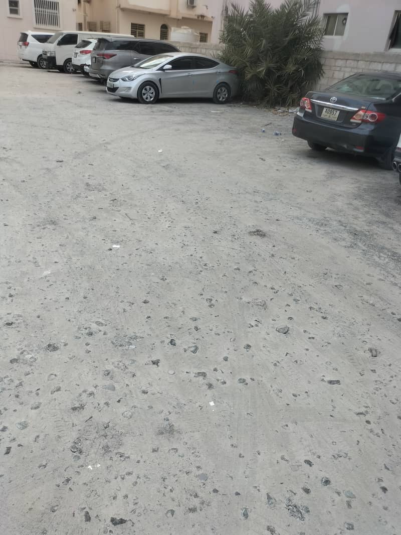 6 1000313227. jpg