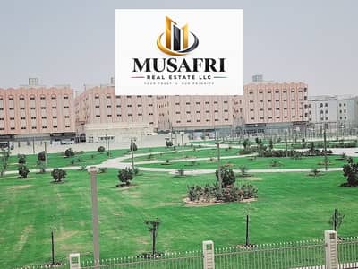 2 Bedroom Flat for Rent in Muwaileh Commercial, Sharjah - IMG_5940. jpg 2 Bedroom Flat for Rent in Muwaileh Commercial, Sharjah - IMG_5940. jpg
