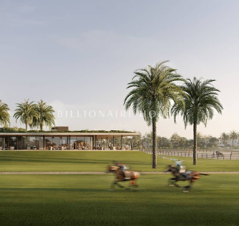 9 04_polo_fields. png