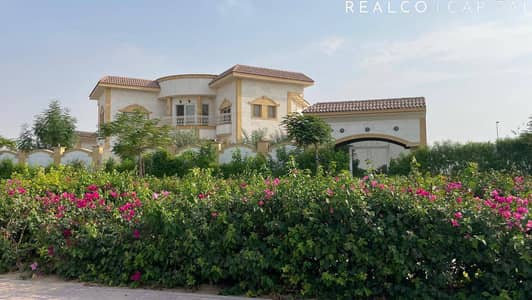 ارض سكنية  للبيع في تلال جبل علي، دبي - ارض سكنية في تلال جبل علي 3100000 درهم - 16498525