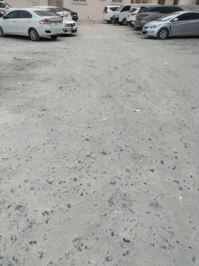 3 1000313226. jpg
