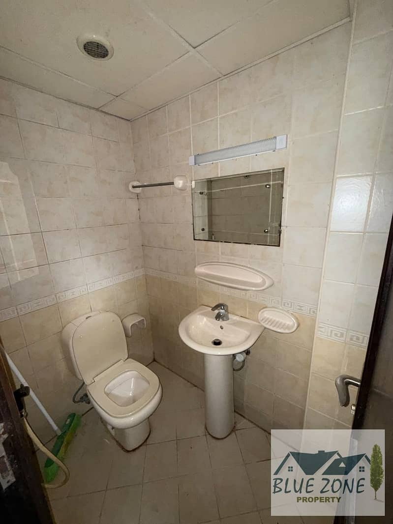 7 151893. jpg